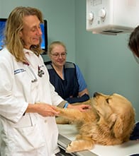 About Happy Tails Veterinary Hospital in Shrewsbury, NJ